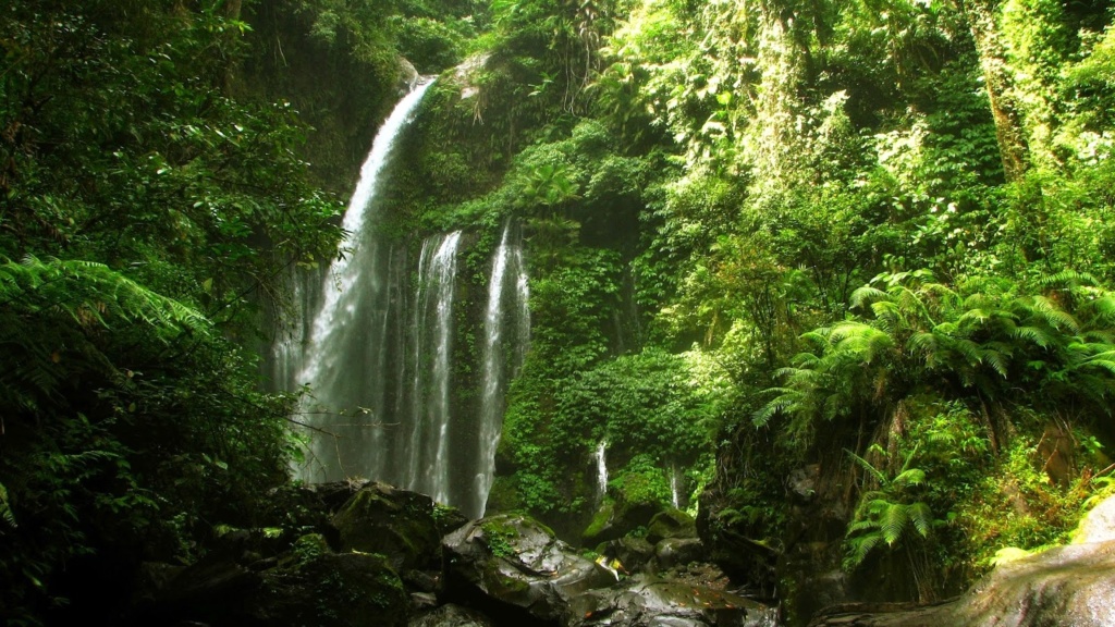 vodopád Tiu Kelep, Senaru, Lombok