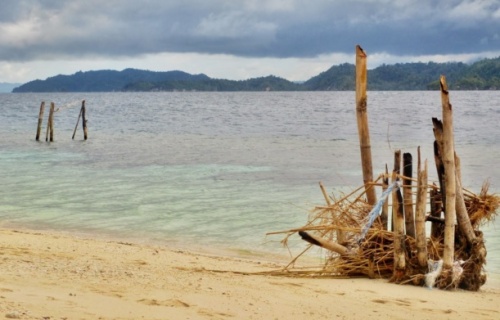 Sulawesi podruhé 1/3
