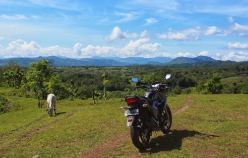 Sulawesi podruhé 3/3