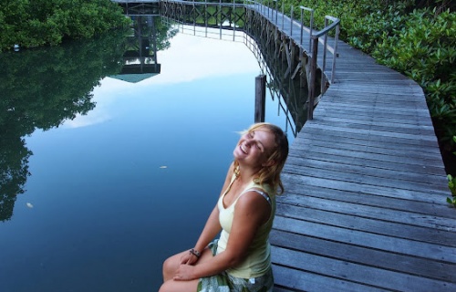 Mangrovový les na Bali