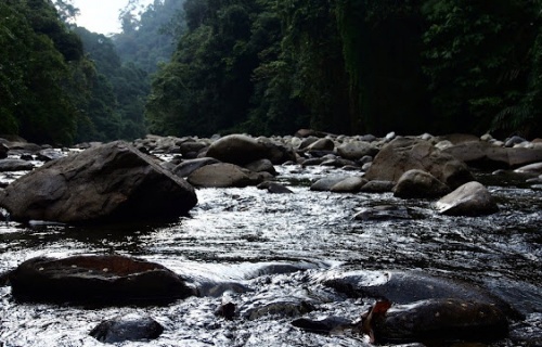 Za orangutany do Bukit Lawang