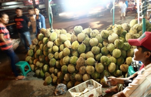 Durian – ovocný klenot Jihovýchodní Asie